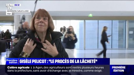 "Le procès de la lâcheté": la dernière déclaration de Gisèle Pelicot au procès de Mazan