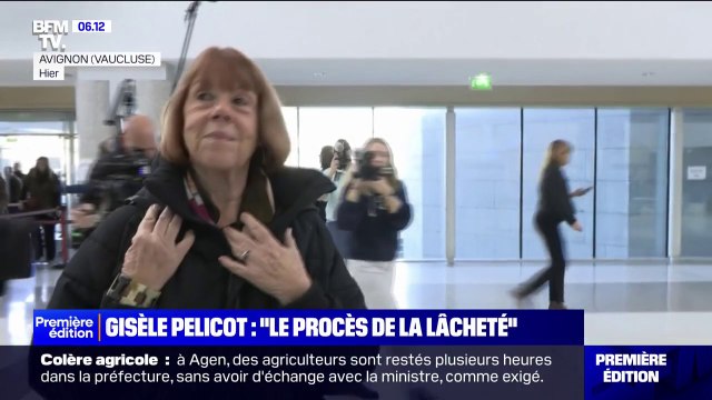 Le procès de la lâcheté : la dernière déclaration de Gisèle Pelicot au procès de Mazan