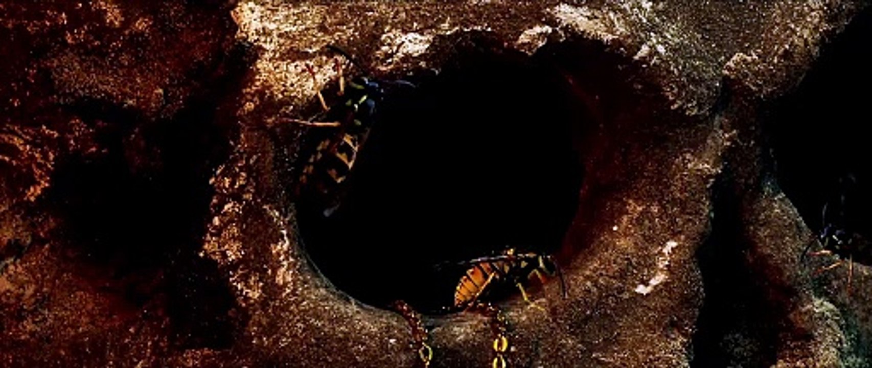 Yellowjackets - staffel 3 Teaser OV