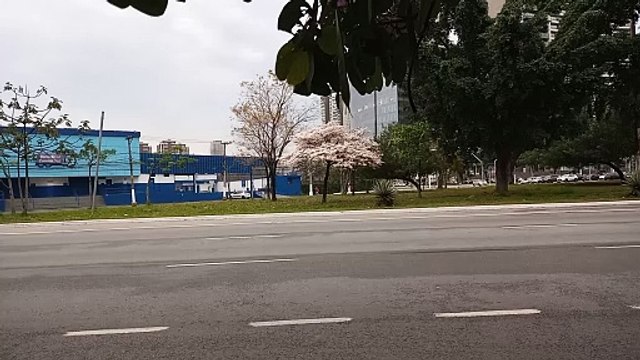 Marco Rubio, novo secretário do governo Trump já está contatando altos oficiais das FFAAs no Brasil e PF