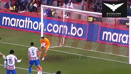 Bolivia Vs Paraguay 2-2 Highlights And Goals Nov 19, 2024