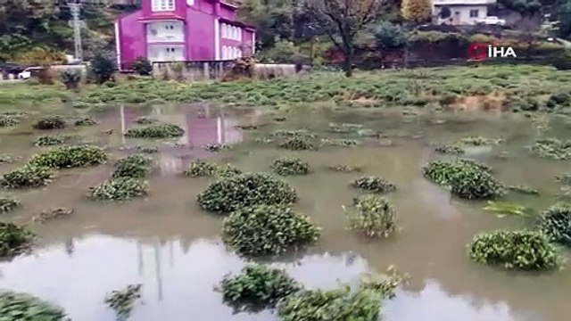 Rize’deki şiddetli yağış sonrası tarzım arazileri göle döndü