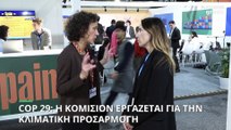 COP 29: Η Ευρωπαϊκή Επιτροπή εργάζεται με στόχο την κλιματική προσαρμογή των 27 κρατών - μελών