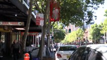 Sydney and Melbourne among major cities failing tree canopy goals