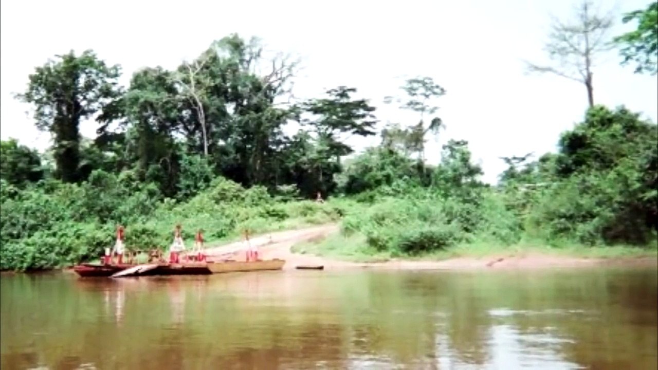 Mokele mbembe-Dinossauros encontrados mortos no congo(dublado)