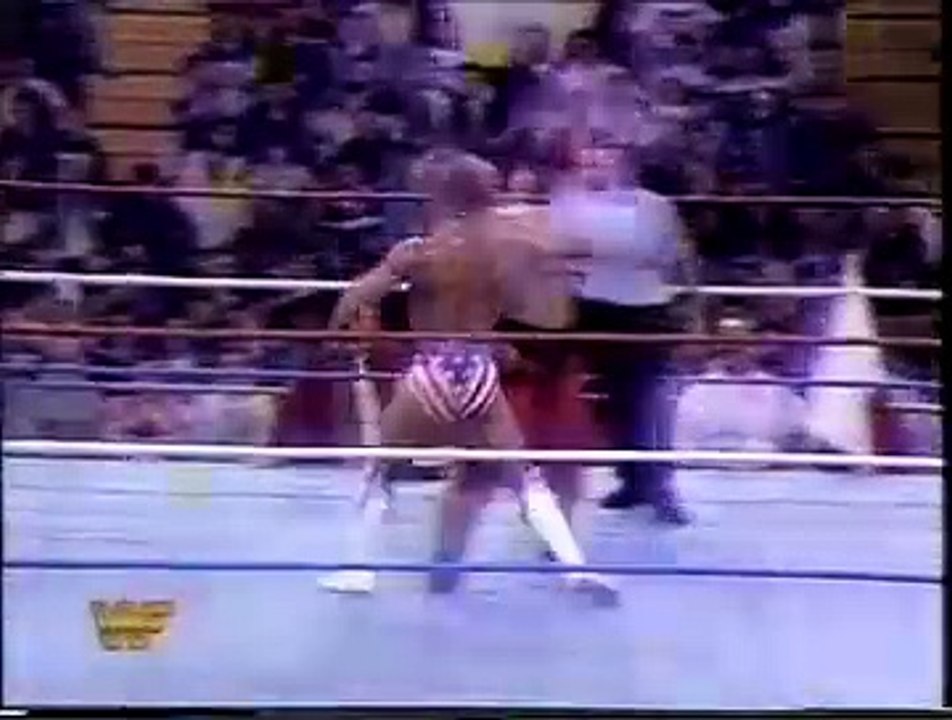 Lex Luger, The Undertaker & The Steiner Brothers vs Yokozuna, Ludvig Borga, Crush & Quebecer Jacques