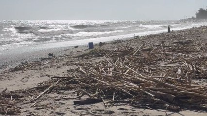 Locals step in to help clean up Málaga beach in the aftermath of severe storm