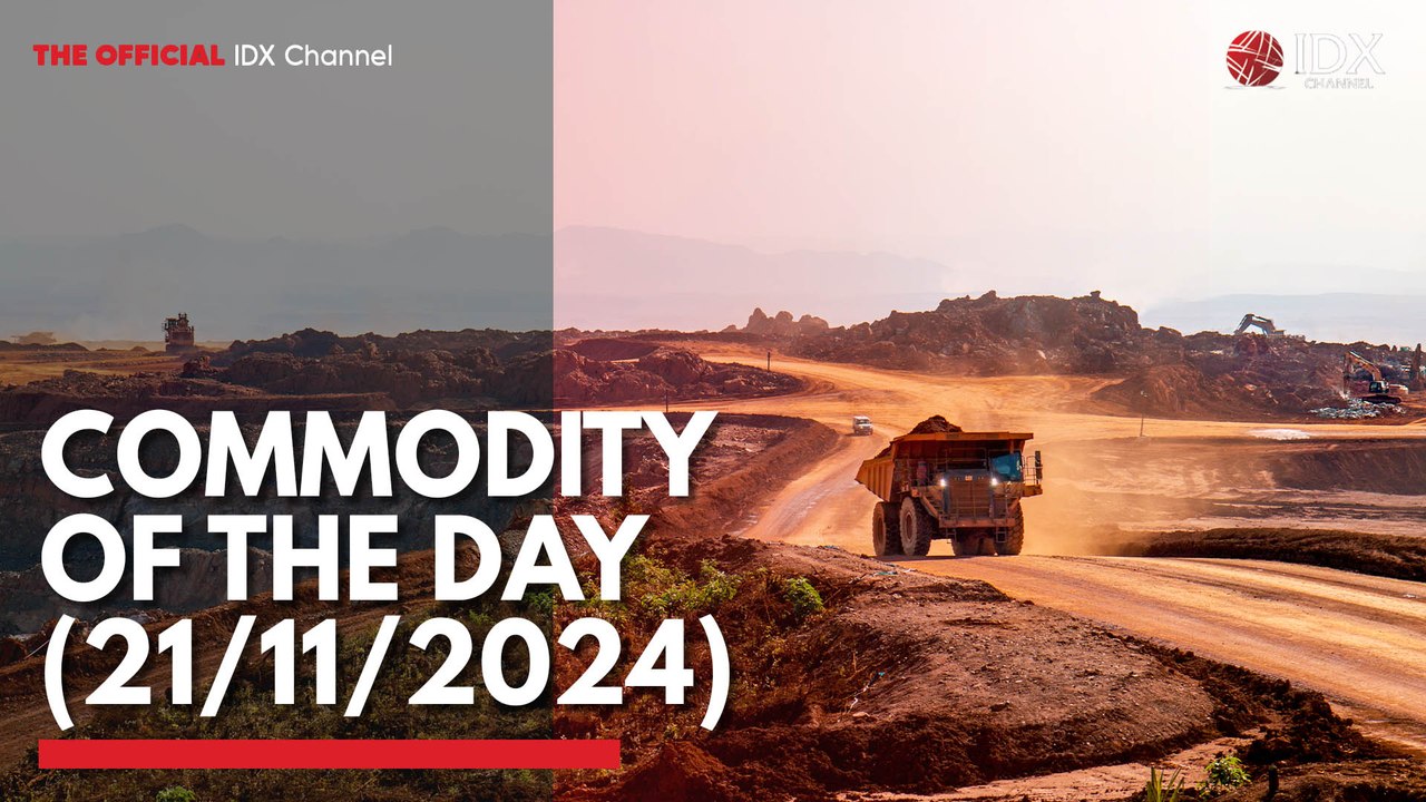 Commodity of the Day (21/11/2024)