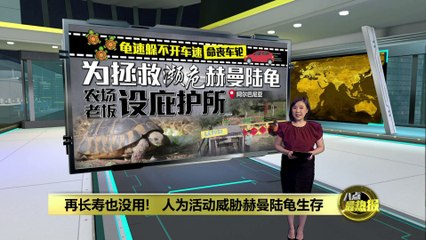 男子建立赫曼陆龟保护中心，拯救濒危物种 🐢