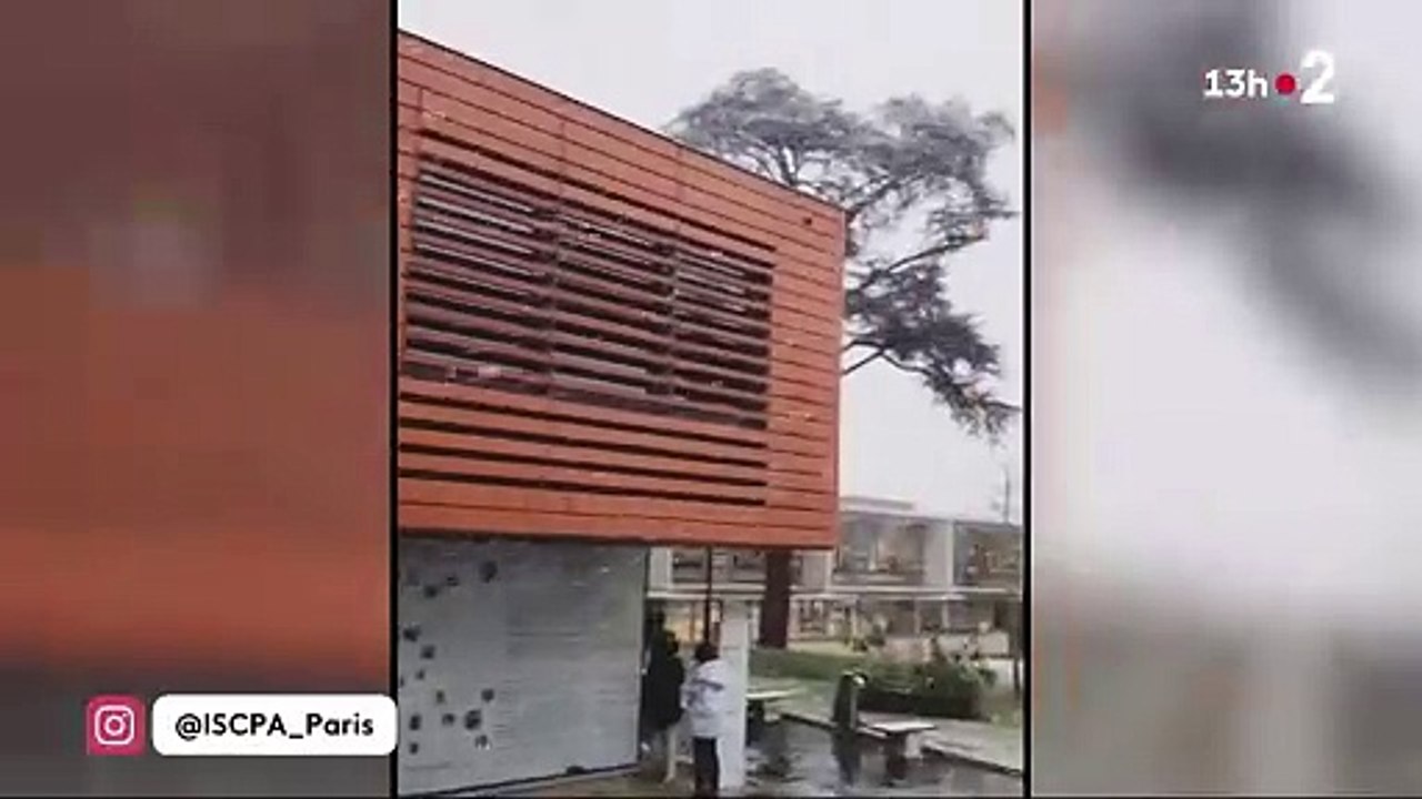 Les flocons tombaient avec intensité sur Paris et sa banlieue  en novembre, après que la neige a gagné le quart nord-ouest de la France où les conditions de circulation sont « très délicates ».