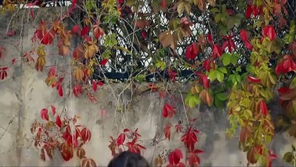 Lazos Del Destino Capitulo 8 (Doblado en Español)