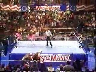The Nasty Boys vs Hart Foundation (WrestleMania VII)