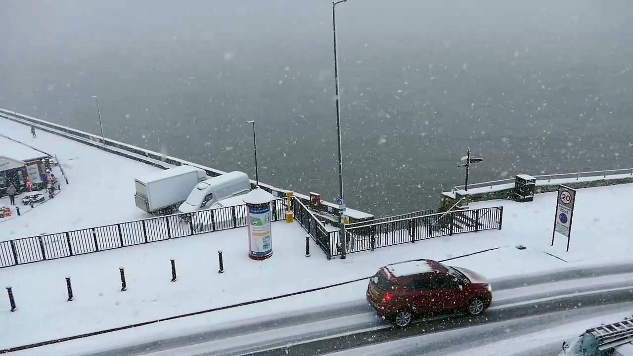 Brid snow