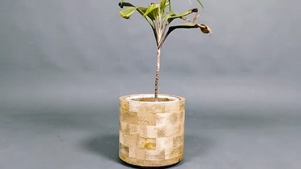 Handcrafted Wooden Planter