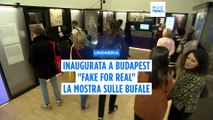 Fake for Real: la mostra itinerante sulle bufale arriva a Budapest