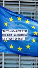 ‘They said tariffs were for business: Business said “Don’t do that”’
