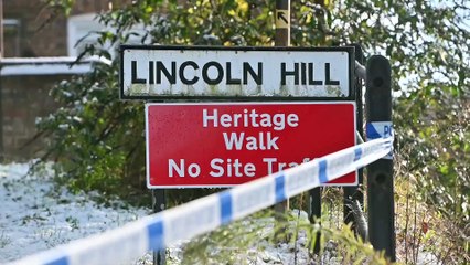 Barriers protect Ironbridge car on its roof from a large fall.