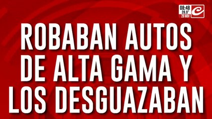 Robaban autos de alta gama, los desguazaban y los exportaban