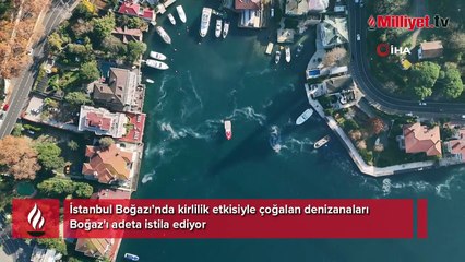 İstanbul'da milyon dolarlık yalıların önünde şoke eden manzara: Son derece üzücü