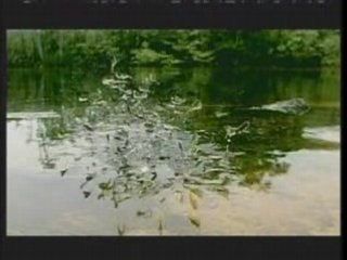 DJTC Trance Medley 1 - HQ Full Screen it