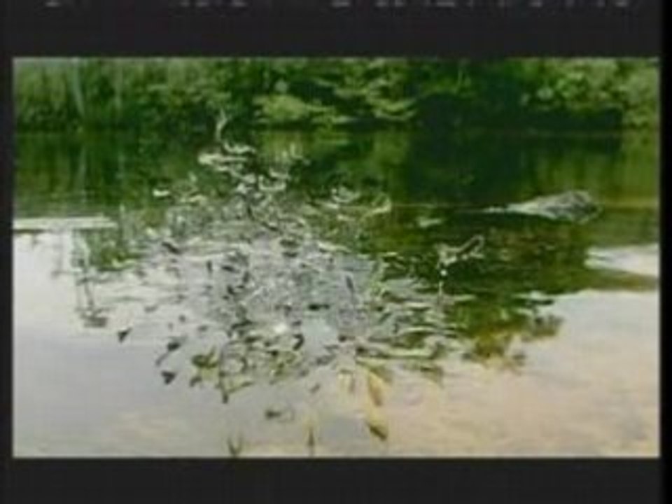 DJTC Trance Medley 1 - HQ Full Screen it