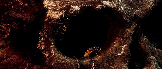 Yellowjackets - staffel 3 Teaser DF