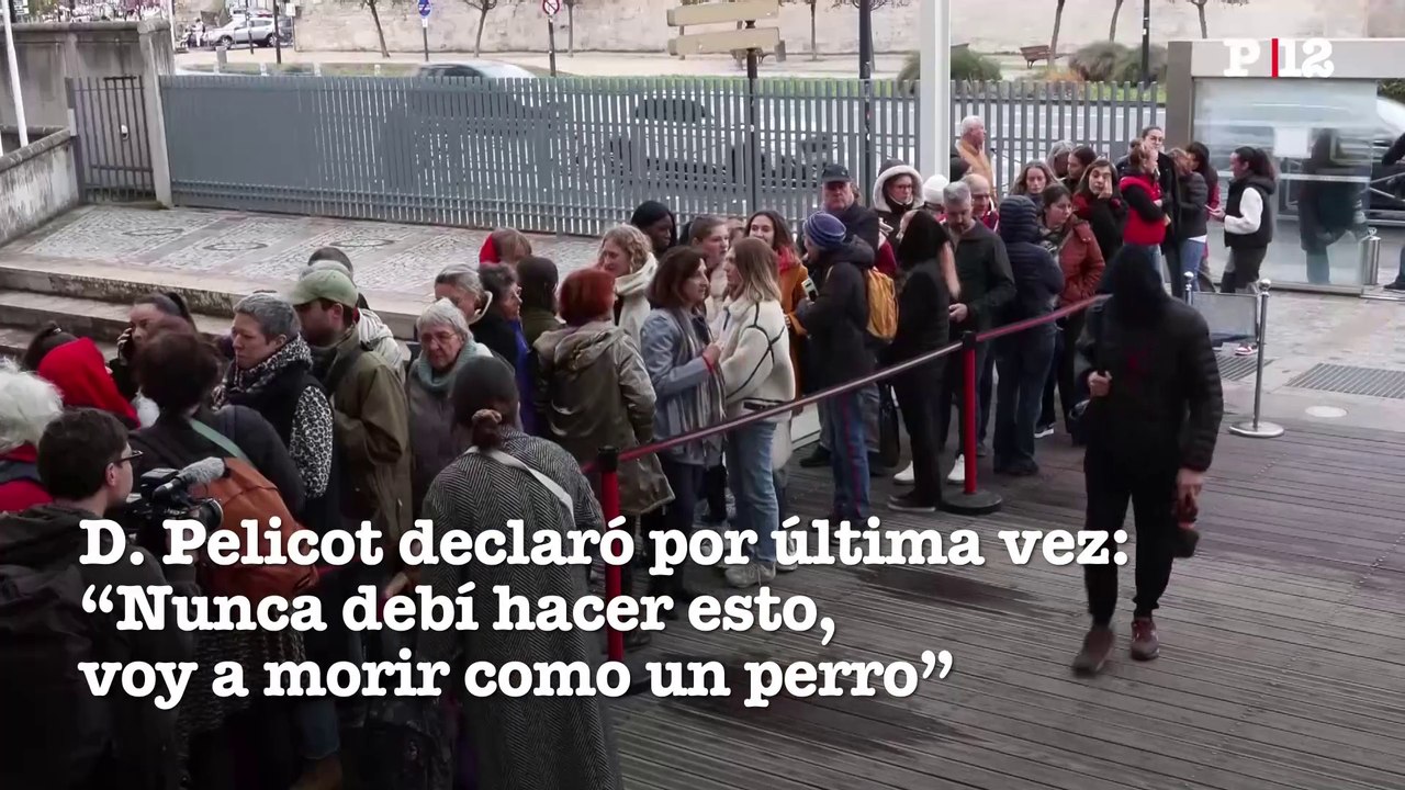 "Nunca debí hacer esto, voy a morir como un perro", dice Dominique Pelicot en su última declaración