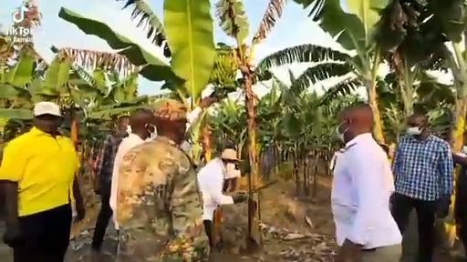 Operation Wealth Creation- Coffee Distribution