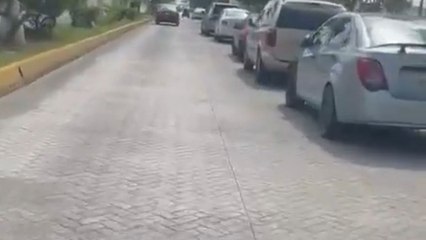 Joyride gone wrong: Girl driving rented golf cart hits a parked car
