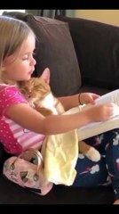La carita del gato mientras la niña le cuenta el cuento es la dosis de monería que necesitabas hoy