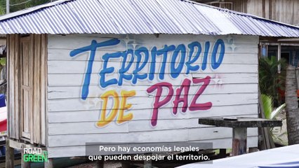 Silenciar las armas, no los pájaros: la UE y Colombia quieren la paz con la naturaleza