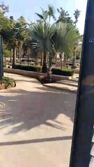 Place Carl Ficke  Une oasis urbaine au cœur de la ville