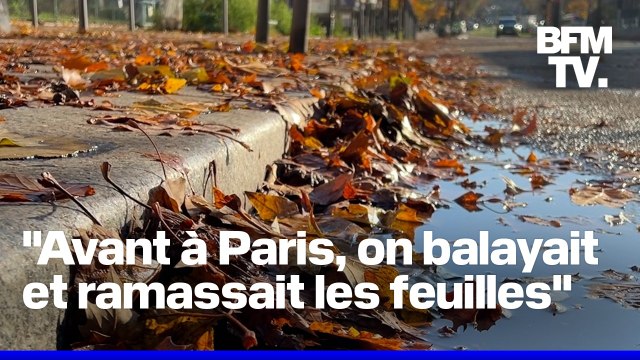 Pistes cyclables, trottoirs, routes inondées: qui doit nettoyer les feuilles mortes ?