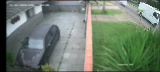 cadela-escapa-camera-segunraça