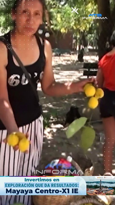 6. ATB Informa Venta de frutas en los diferentes mercados de Santa Cruz