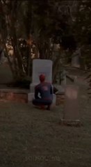 Spider-Man Lotus c’est quoi ?