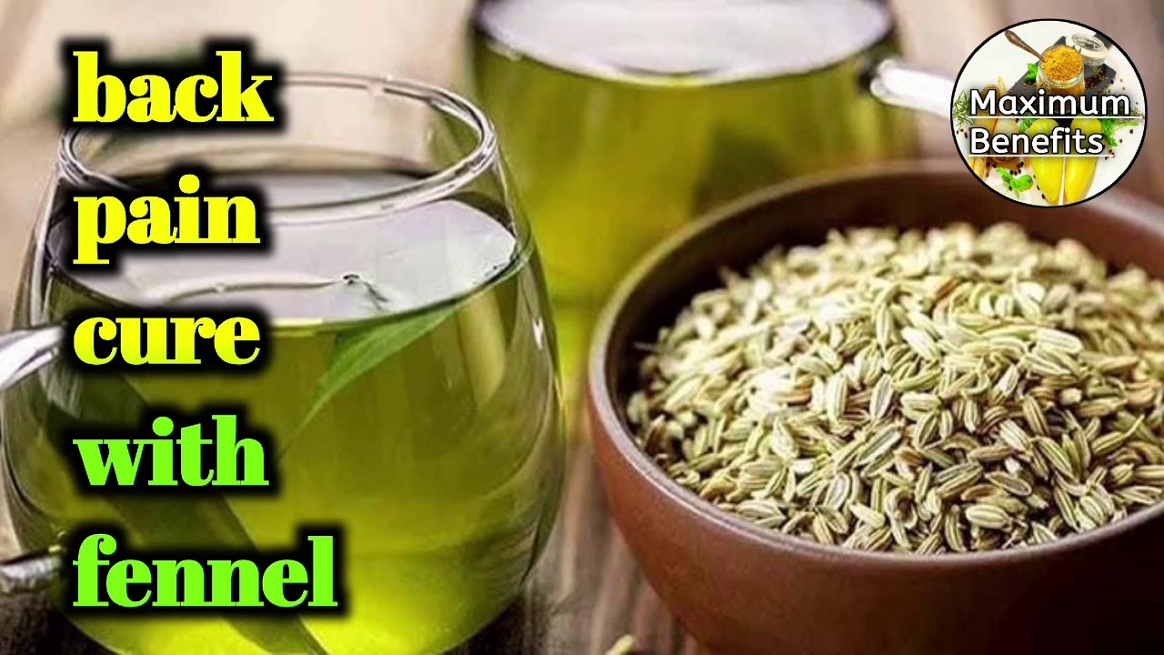 100% cure for back pain with fennel | home remedy | maximum Benefits