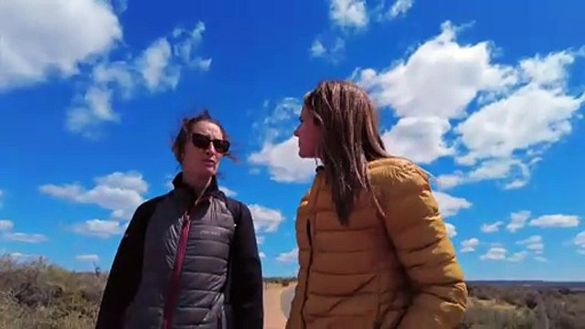 Masacre de pingüinos: empresario que arrasó nidos con una topadora no irá preso