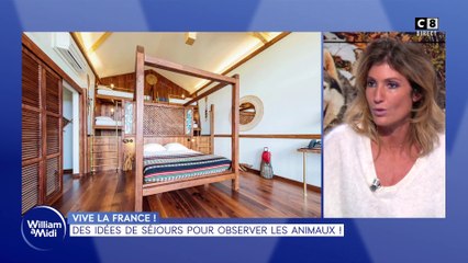 Vive la France : Des idées de séjours pour observer les animaux !