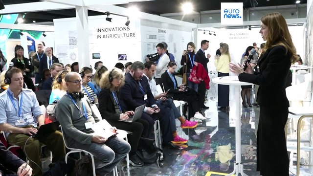 Гринчук: Россия нанесла экологический ущерб Украине на $71 млрд