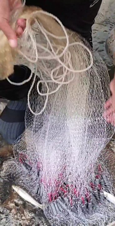 Cast Net Fishing in Nepal | Himalayan Trout Fishing with Handmade Cast Net |