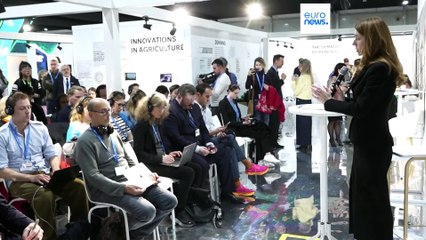 COP29: Ucrânia promete voltar a ser mais ecológica apesar da devastação causada pela guerra