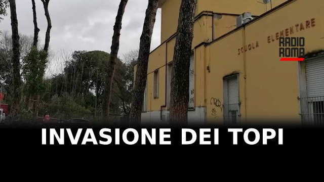 Domani riapre la scuola Ferrini dopo l’invasione dei topi