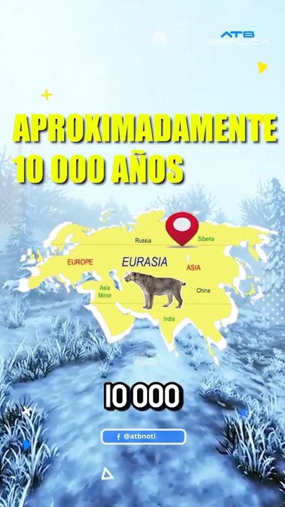 EL HALLAZGO DEL SIGLO, DESCUBREN UN GATITO DIENTES DE SABLE MOMIFICADO