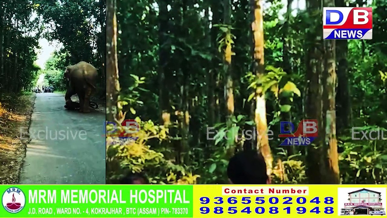 पर्बतझरानि  बगरीबारी मा महामाया मन्दिरनि साखाथियाव  हाग्रानि मैदेरफोरनि उदां थांलाय-फैलाय।