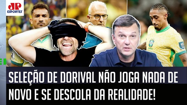 NINGUÉM VAI CAIR NESSA, cara! Essa Seleção tem UMA TOTAL FALTA de... OLHA essa BAITA CRÍTICA!