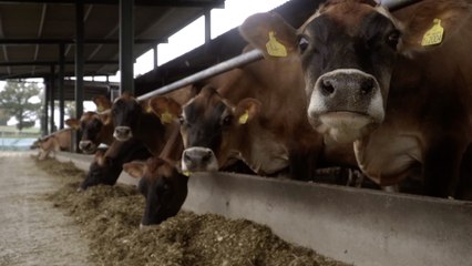 Kent Tonight Special: Farmers vs Starmer