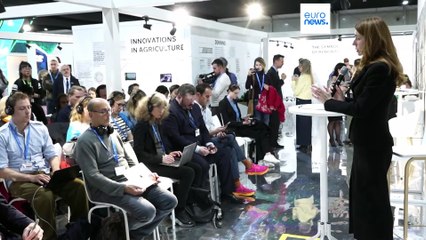 COP29: Ukraine strebt trotz Russlands Angriffskrieg eine grünere Zukunft an