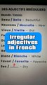 Irregular adjectives in French🇨🇵|Learn and speak french with Alain and Moh 😀