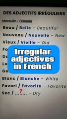 Irregular adjectives in French🇨🇵|Learn and speak french with Alain and Moh 😀